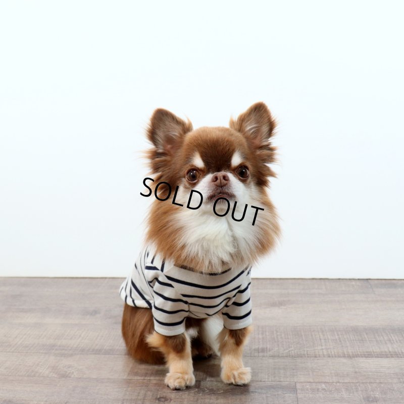 画像3: 薄手なボーダーカットソー（ネイビー×生成り） (3)