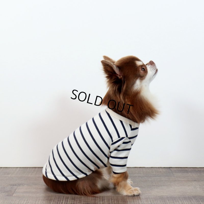 画像5: 薄手なボーダーカットソー（ネイビー×生成り） (5)