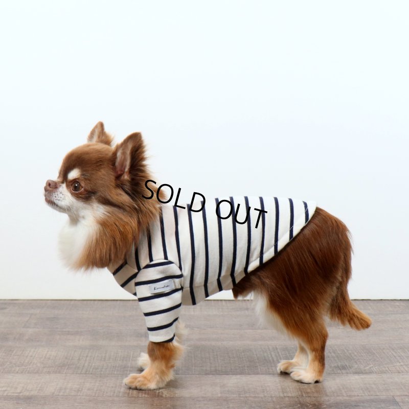 画像2: 薄手なボーダーカットソー（ネイビー×生成り） (2)