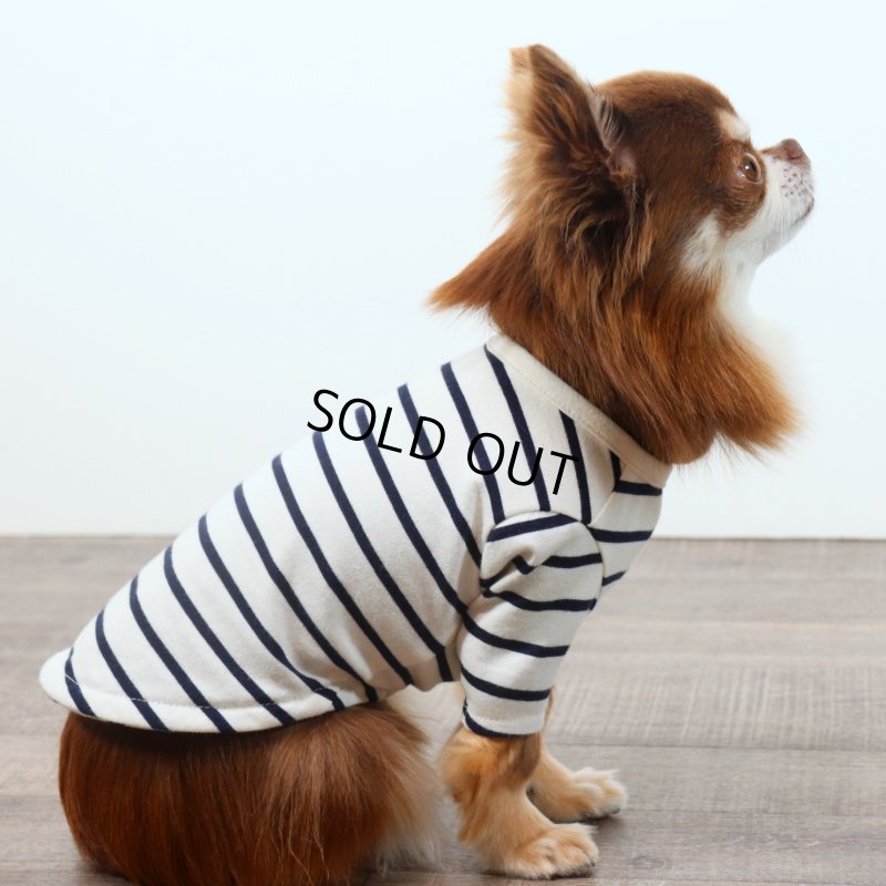 画像12: 薄手なボーダーカットソー（ネイビー×生成り） (12)