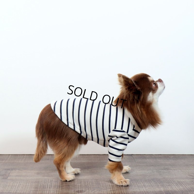 画像6: 薄手なボーダーカットソー（ネイビー×生成り） (6)