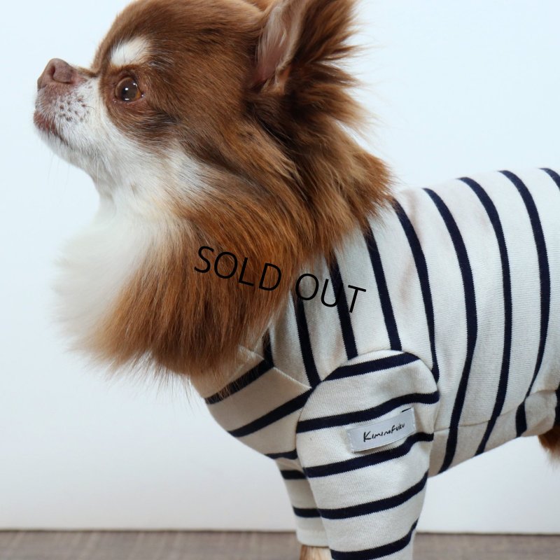 画像9: 薄手なボーダーカットソー（ネイビー×生成り） (9)