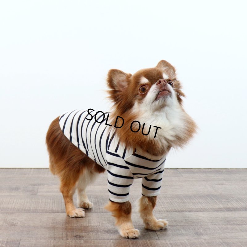 画像4: 薄手なボーダーカットソー（ネイビー×生成り） (4)