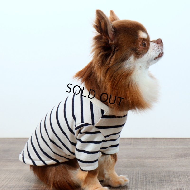 画像10: 薄手なボーダーカットソー（ネイビー×生成り） (10)