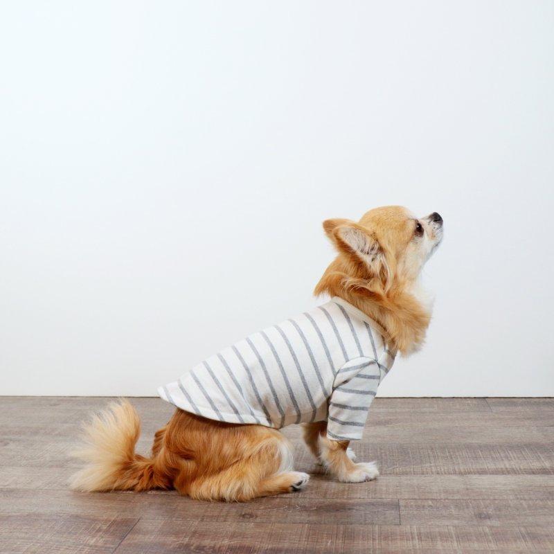 画像5: 薄手なボーダーカットソー（グレー×生成り） (5)