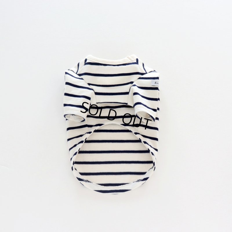 画像33: 薄手なボーダーカットソー（ネイビー×生成り） (33)