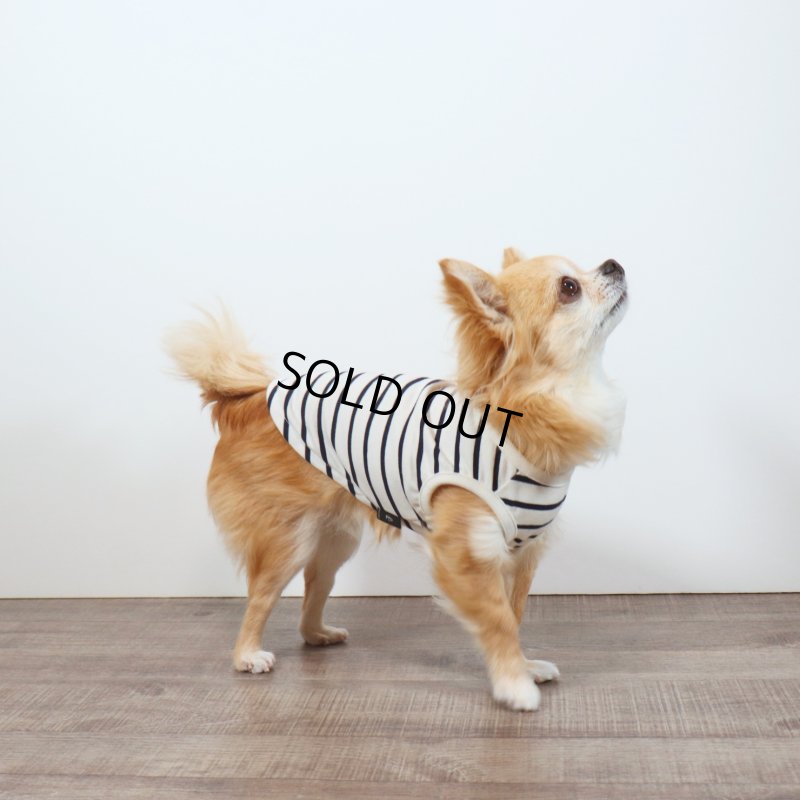 画像26: 薄手なボーダーカットソー（ネイビー×生成り） (26)