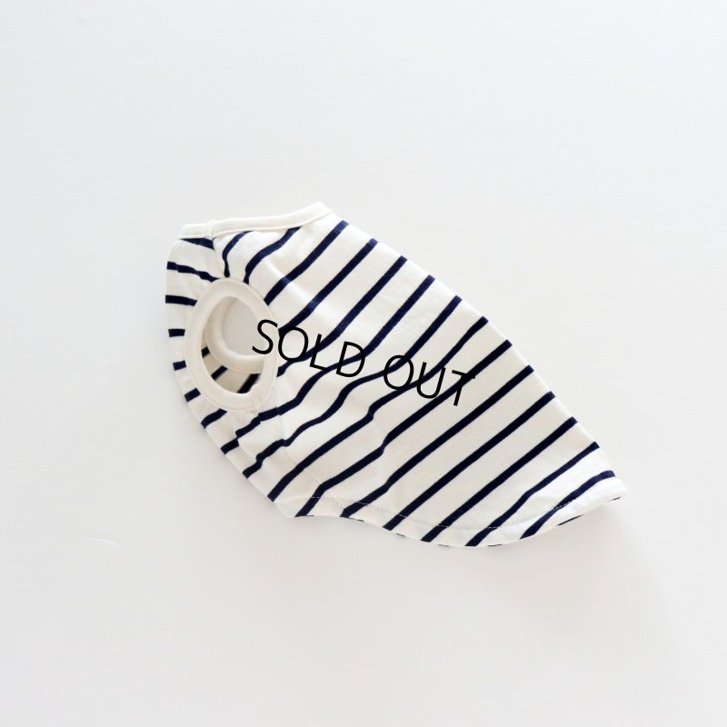 画像36: 薄手なボーダーカットソー（ネイビー×生成り） (36)