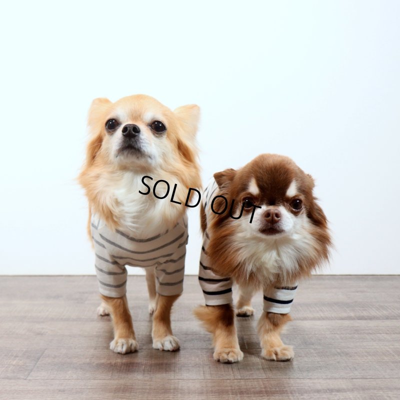 画像7: 薄手なボーダーカットソー（ネイビー×生成り） (7)