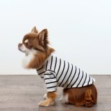 薄手なボーダーカットソー（ネイビー×生成り）