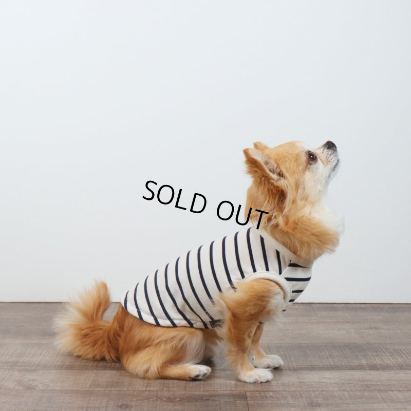 画像27: 薄手なボーダーカットソー（ネイビー×生成り） (27)