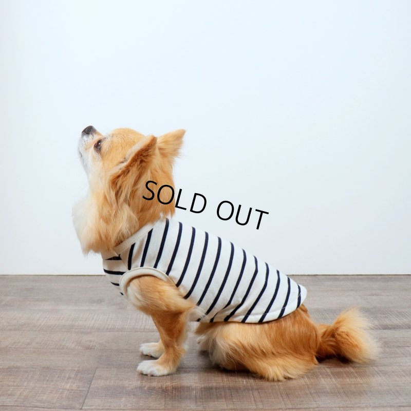 画像29: 薄手なボーダーカットソー（ネイビー×生成り） (29)