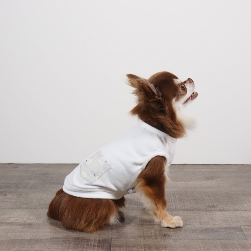 画像4: ワンピース生地のポケット付きタンクトップ／Tシャツ（ホワイト／グレー） (4)