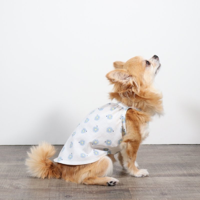 画像10: さわやかなマーガレット柄のキャミワンピース（ホワイト×ブルーマーガレット） (10)