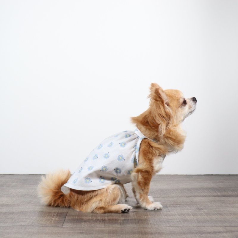 画像3: さわやかなマーガレット柄のキャミワンピース（ホワイト×ブルーマーガレット） (3)