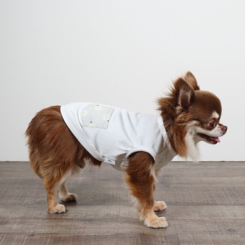 画像18: さわやかなマーガレット柄のキャミワンピース（グレー×ホワイトマーガレット） (18)