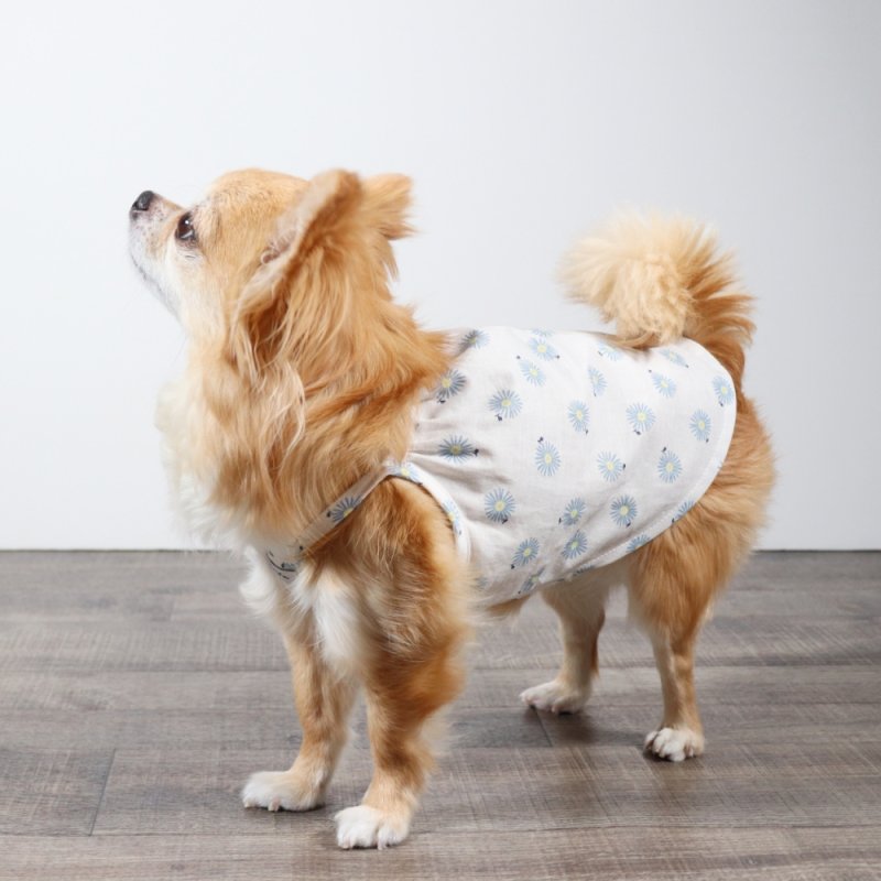 画像9: さわやかなマーガレット柄のキャミワンピース（ホワイト×ブルーマーガレット） (9)