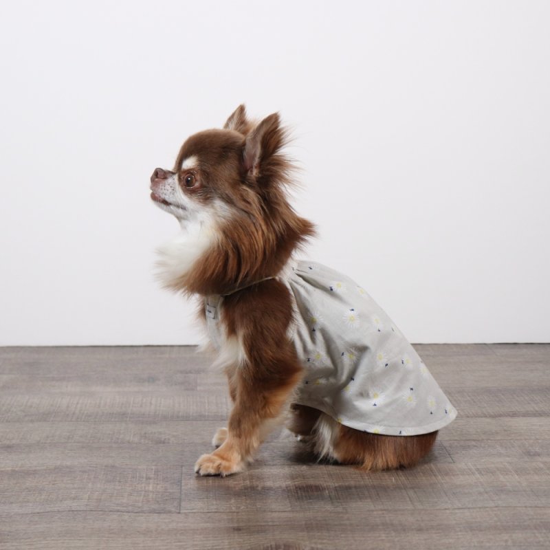 画像5: さわやかなマーガレット柄のキャミワンピース（グレー×ホワイトマーガレット） (5)