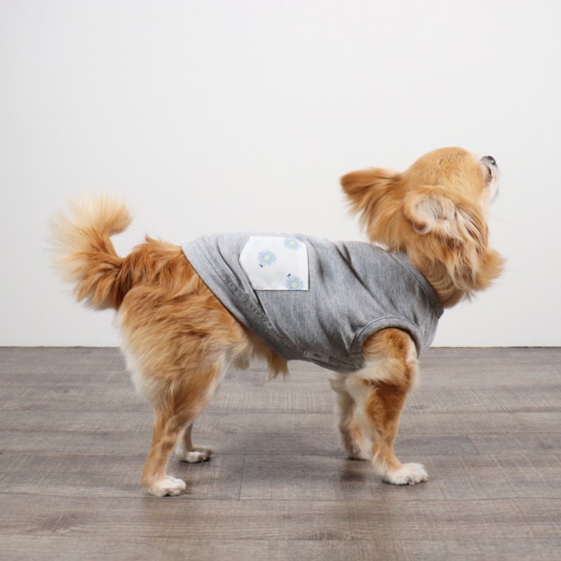 画像19: さわやかなマーガレット柄のキャミワンピース（ホワイト×ブルーマーガレット） (19)