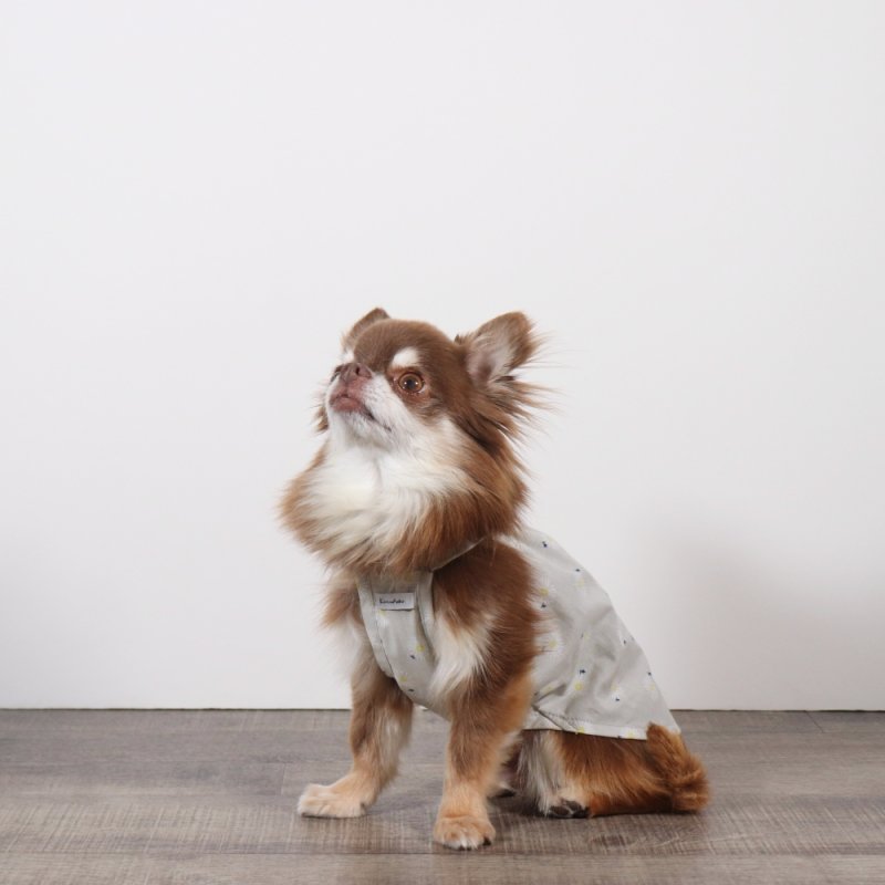 画像3: さわやかなマーガレット柄のキャミワンピース（グレー×ホワイトマーガレット） (3)