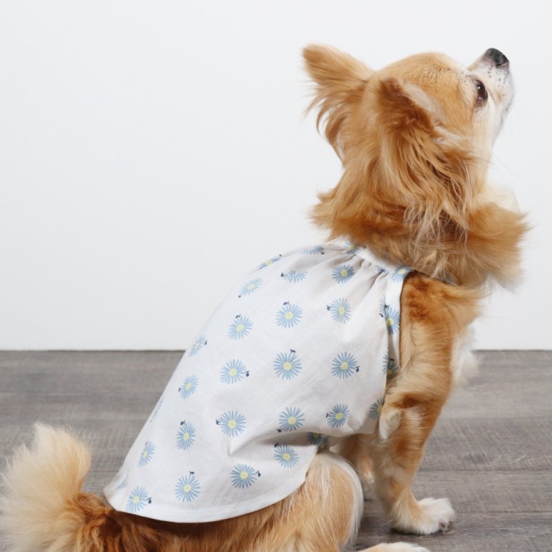 画像7: さわやかなマーガレット柄のキャミワンピース（ホワイト×ブルーマーガレット） (7)