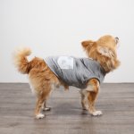 画像7: ワンピース生地のポケット付きタンクトップ／Tシャツ（ホワイト／グレー） (7)