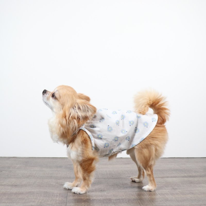 画像6: さわやかなマーガレット柄のキャミワンピース（ホワイト×ブルーマーガレット） (6)