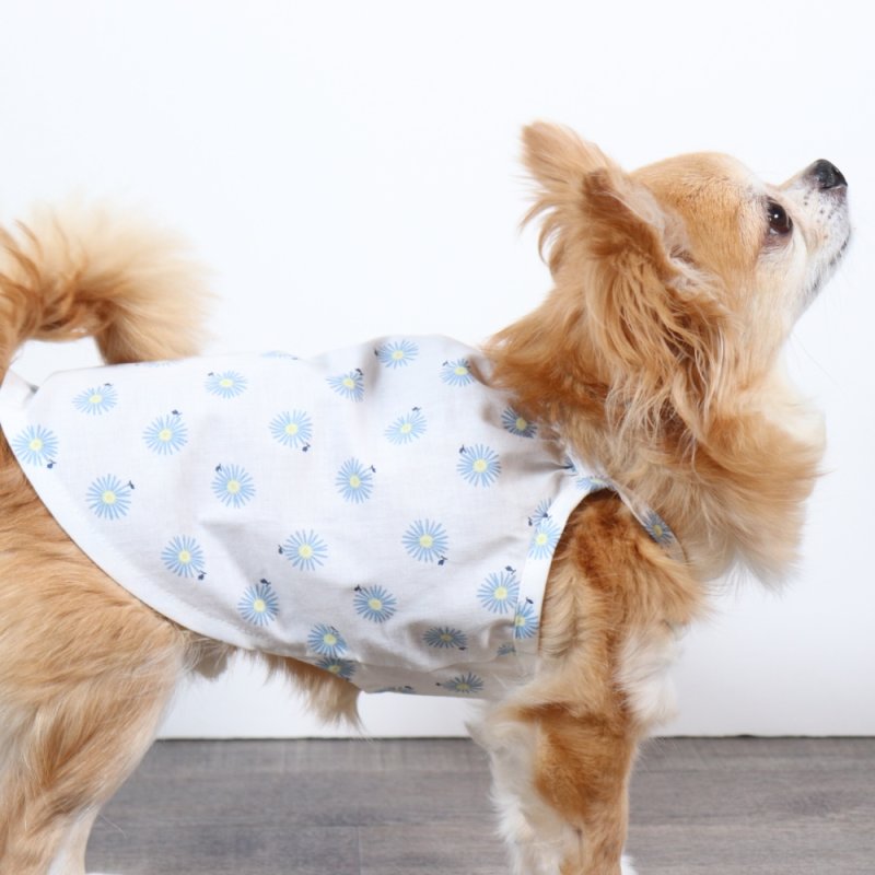 画像8: さわやかなマーガレット柄のキャミワンピース（ホワイト×ブルーマーガレット） (8)