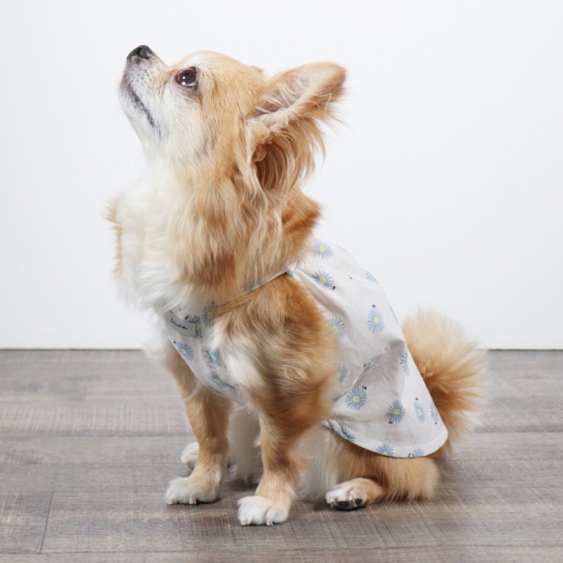 画像12: さわやかなマーガレット柄のキャミワンピース（ホワイト×ブルーマーガレット） (12)