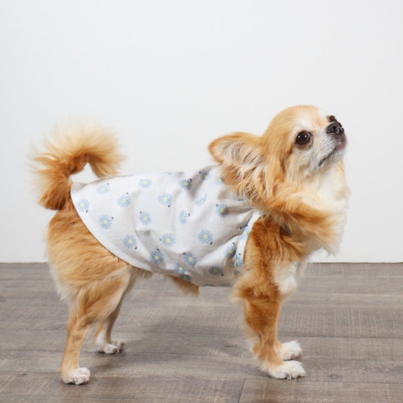 画像11: さわやかなマーガレット柄のキャミワンピース（ホワイト×ブルーマーガレット） (11)