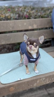 レビュー902-投稿画像1