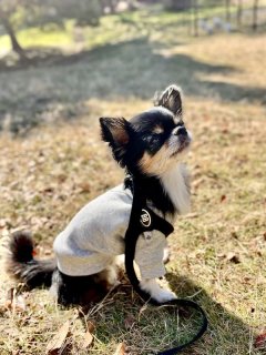 レビュー893-投稿画像1