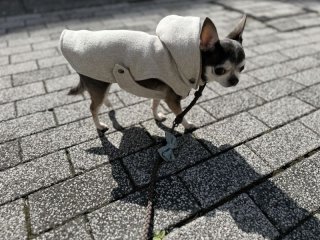 レビュー906-投稿画像1