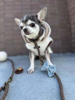 レビュー906-投稿画像2