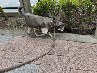 レビュー912-投稿画像2