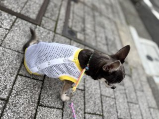 レビュー918-投稿画像1