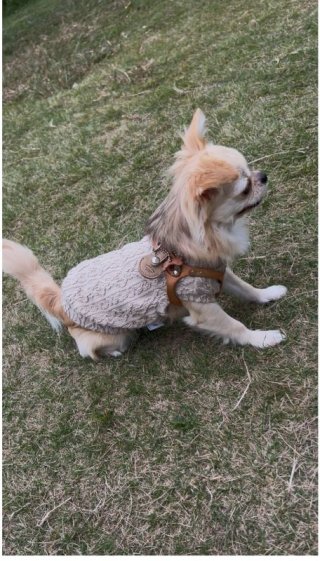 レビュー884-投稿画像1