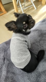 レビュー892-投稿画像1