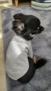 レビュー892-投稿画像2