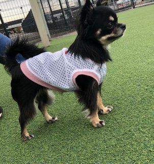 レビュー922-投稿画像1