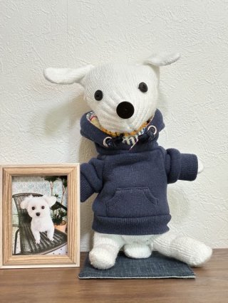 レビュー898-投稿画像1