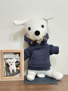 レビュー898-投稿画像1