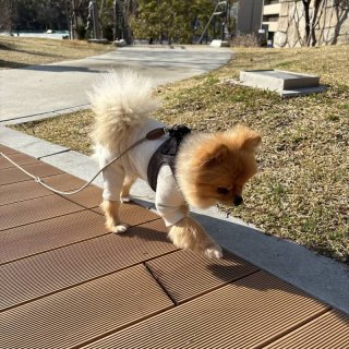 レビュー904-投稿画像1