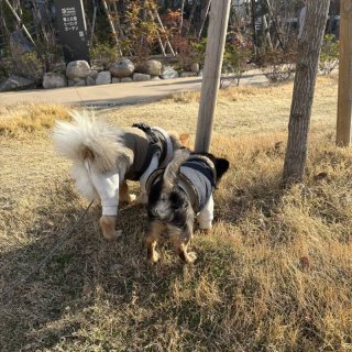 レビュー904-投稿画像3