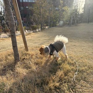 レビュー904-投稿画像2