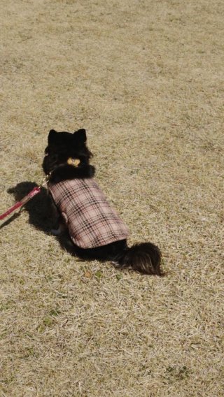 レビュー905-投稿画像2