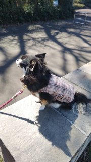 レビュー905-投稿画像1