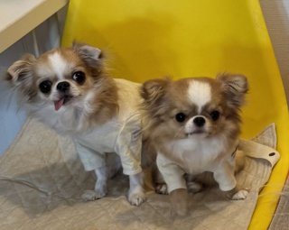 レビュー889-投稿画像1