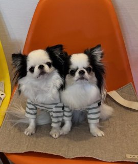 レビュー890-投稿画像1