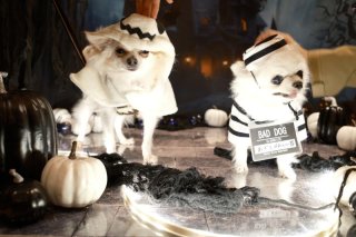 レビュー886-投稿画像2